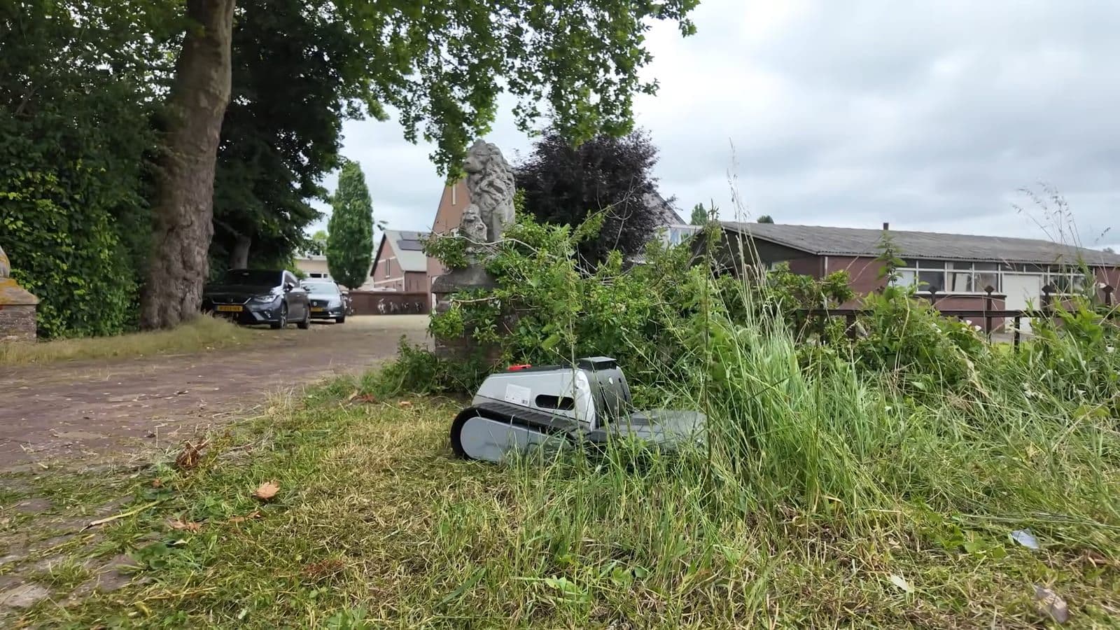 De Lymow One Plus maait door dicht onkruid en hoog gras langs een slootkant